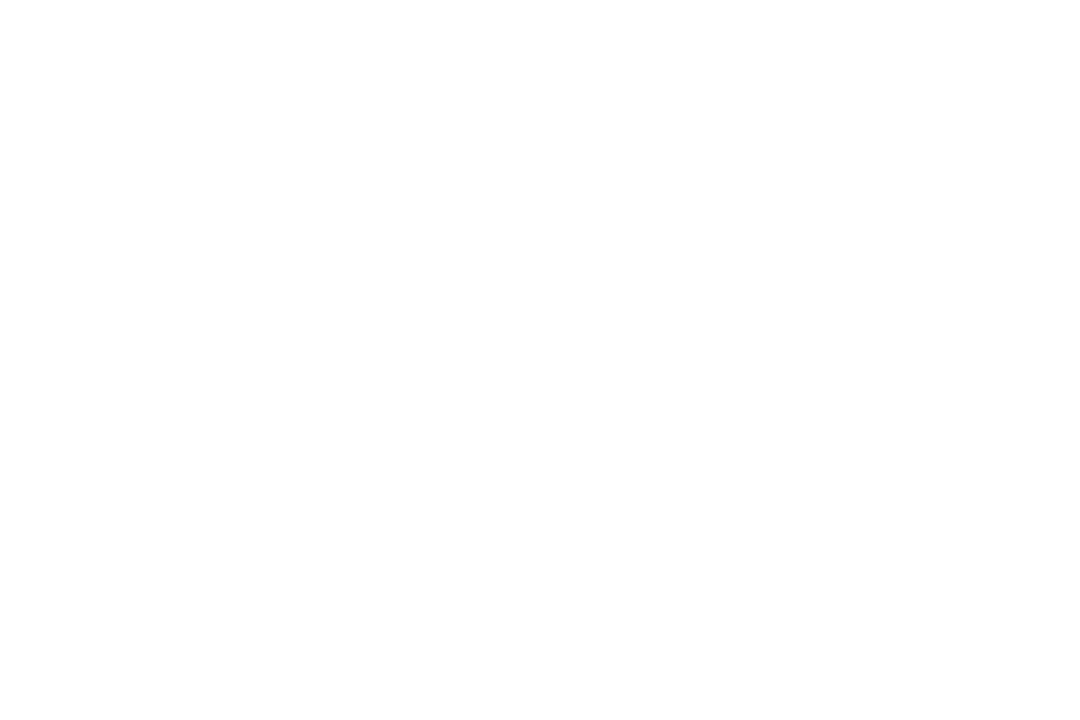 Transparent Vector Network of Media Connections