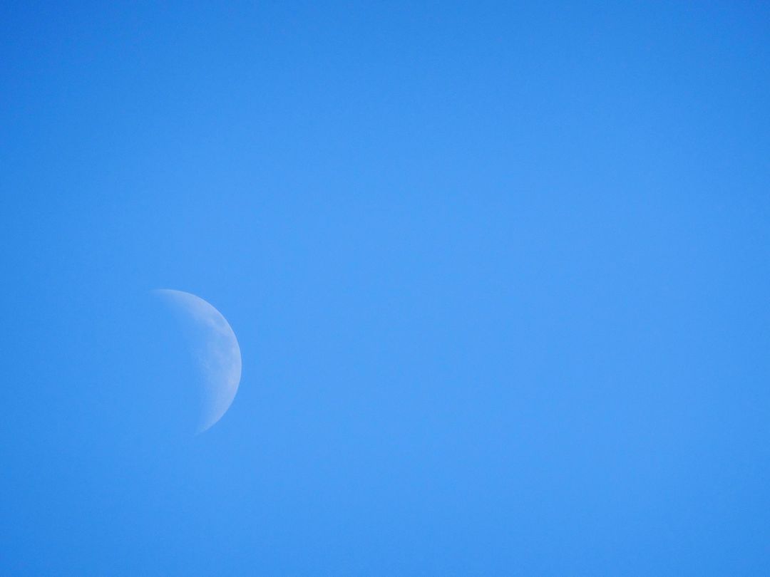 Serene Half Moon in Clear Blue Sky - Free Images, Stock Photos and Pictures on Pikwizard.com