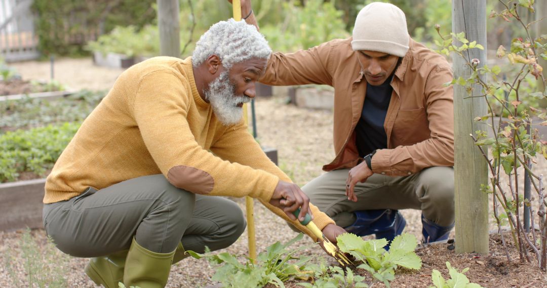Multigenerational gardeners tending raised beds, kneeling and digging for community garden