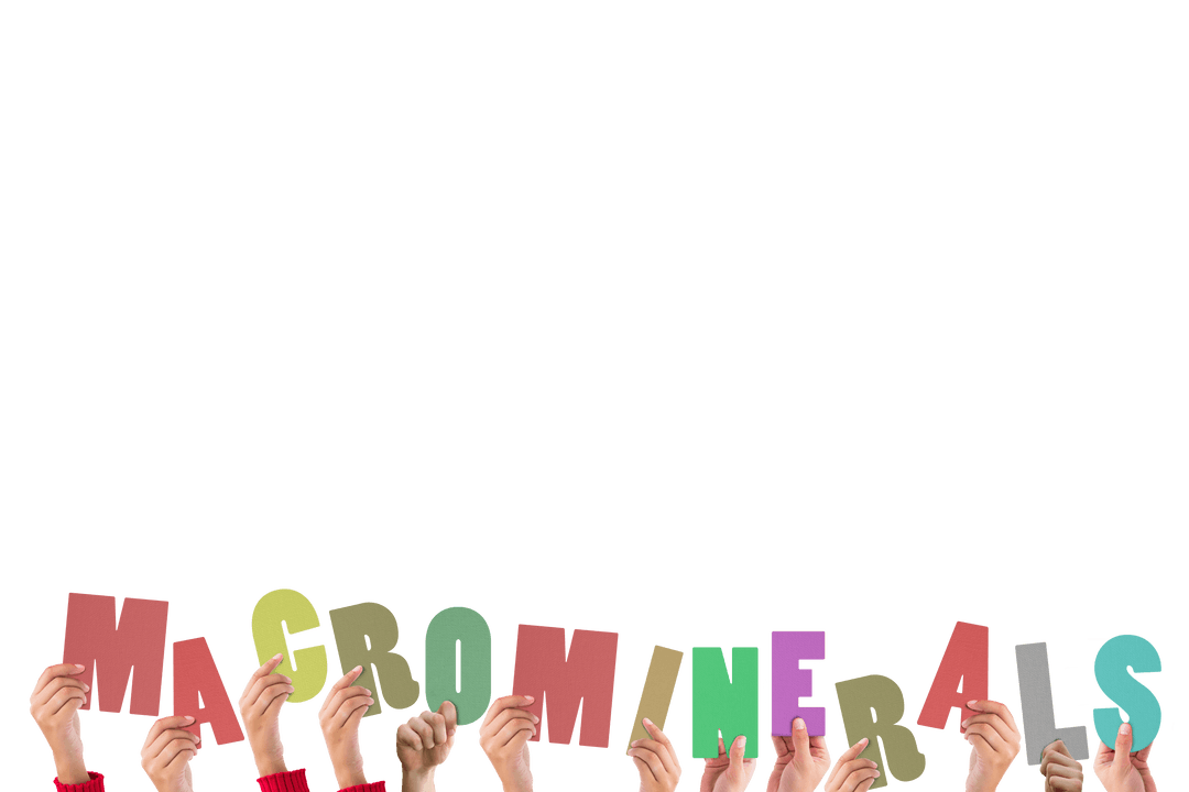 Hands Holding Colorful Macrominerals Sign on Transparent Background