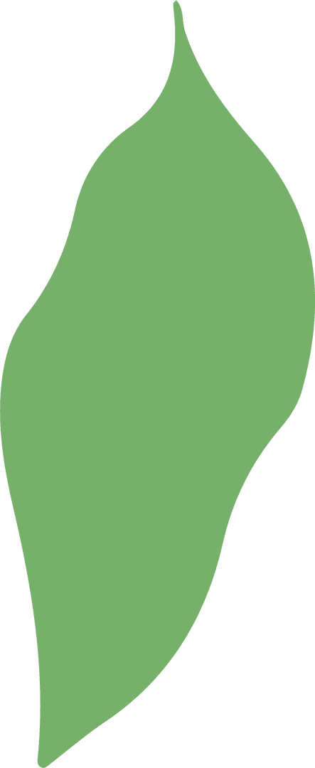 Abstract Green Leaf-like Shape on Transparent Canvas