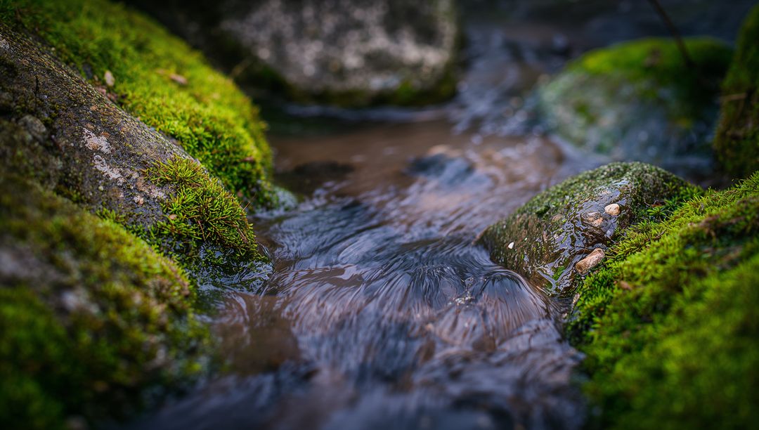 Moss-Covered Rocks with Trickling Stream Flowing Over Pebbles in Tranquil Woodland