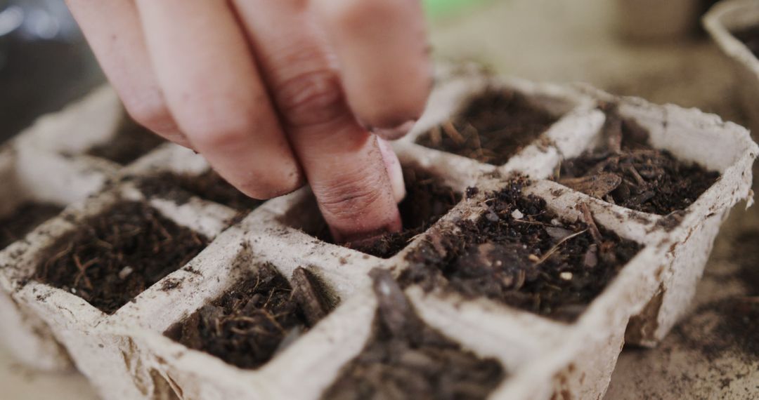 Close-Up of Planting Herbs in Kitchen at Home