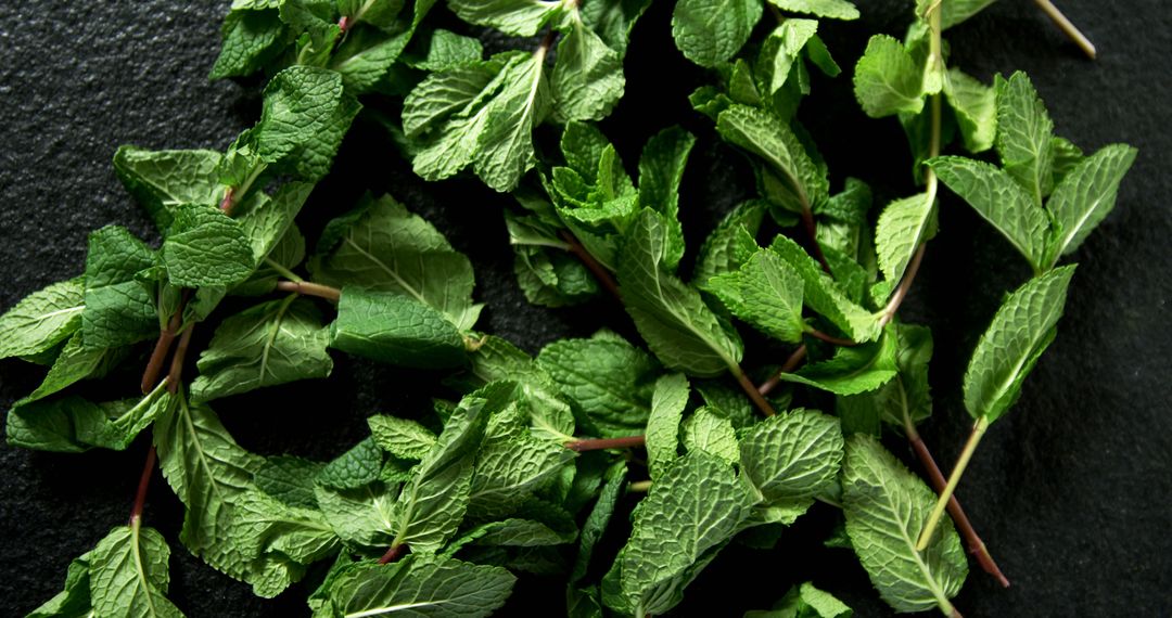 Fresh Mint Leaves on Dark Surface - Free Images, Stock Photos and Pictures on Pikwizard.com