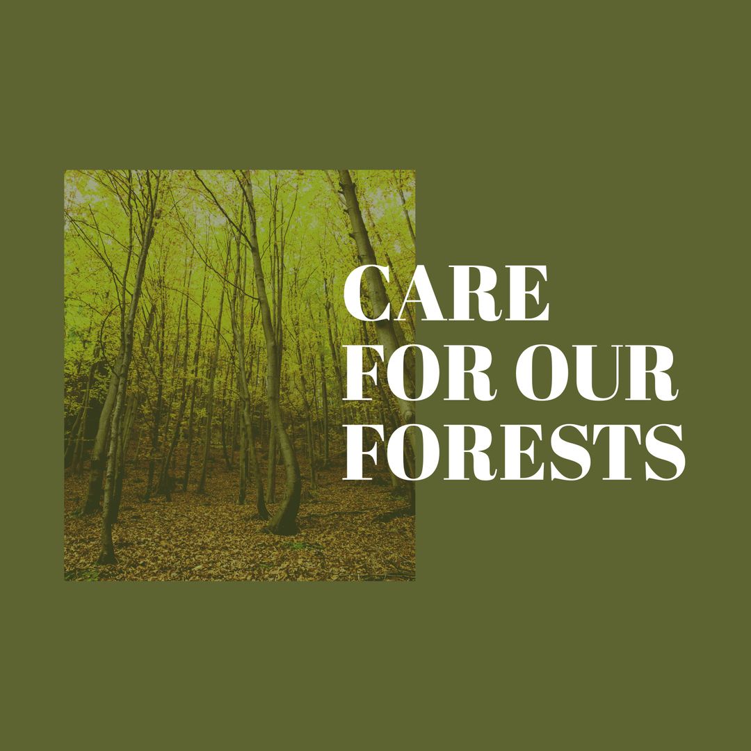 Forest Conservation Concept with Woodland Image