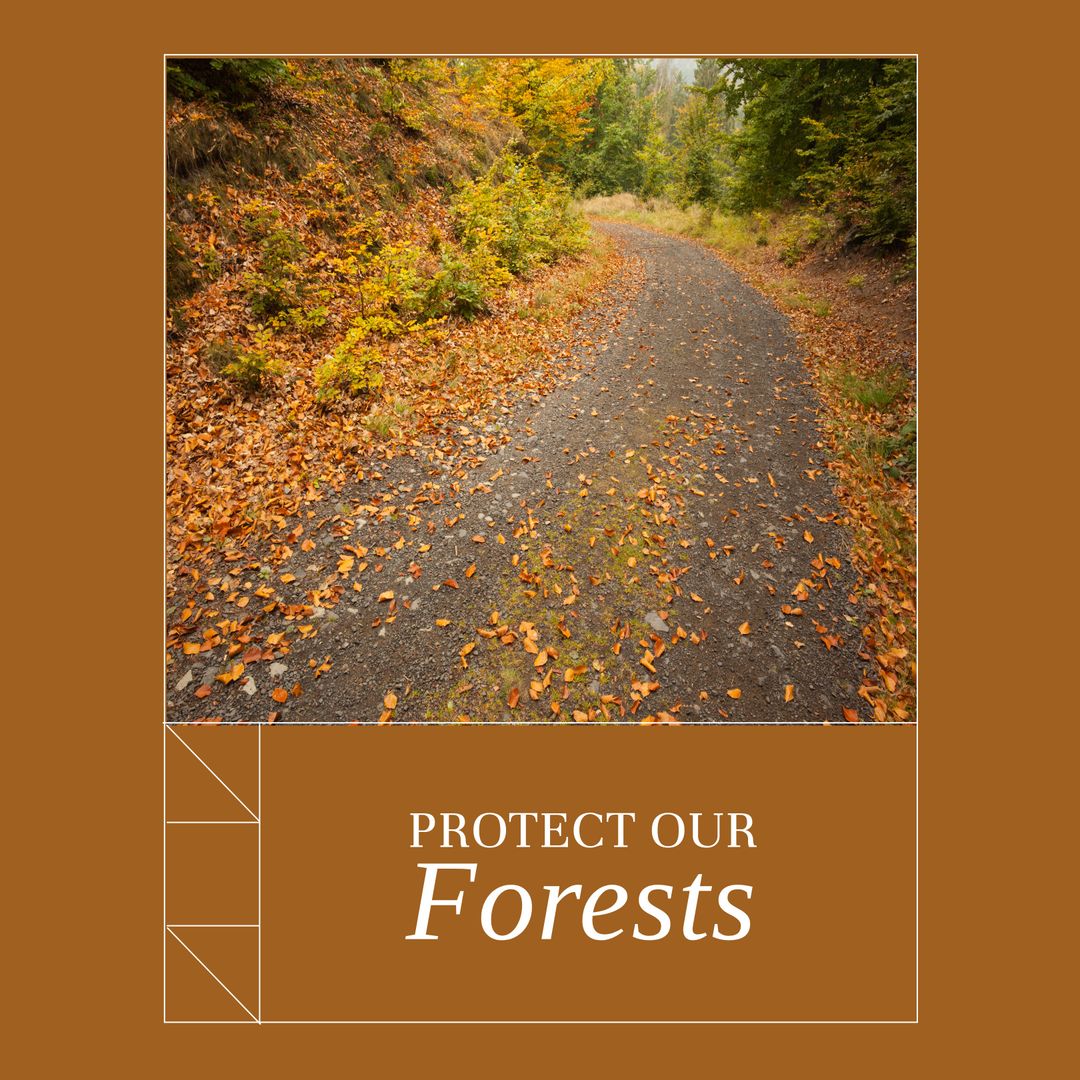 Rustic Forest Trail with Autumn Leaves and Conservation Message
