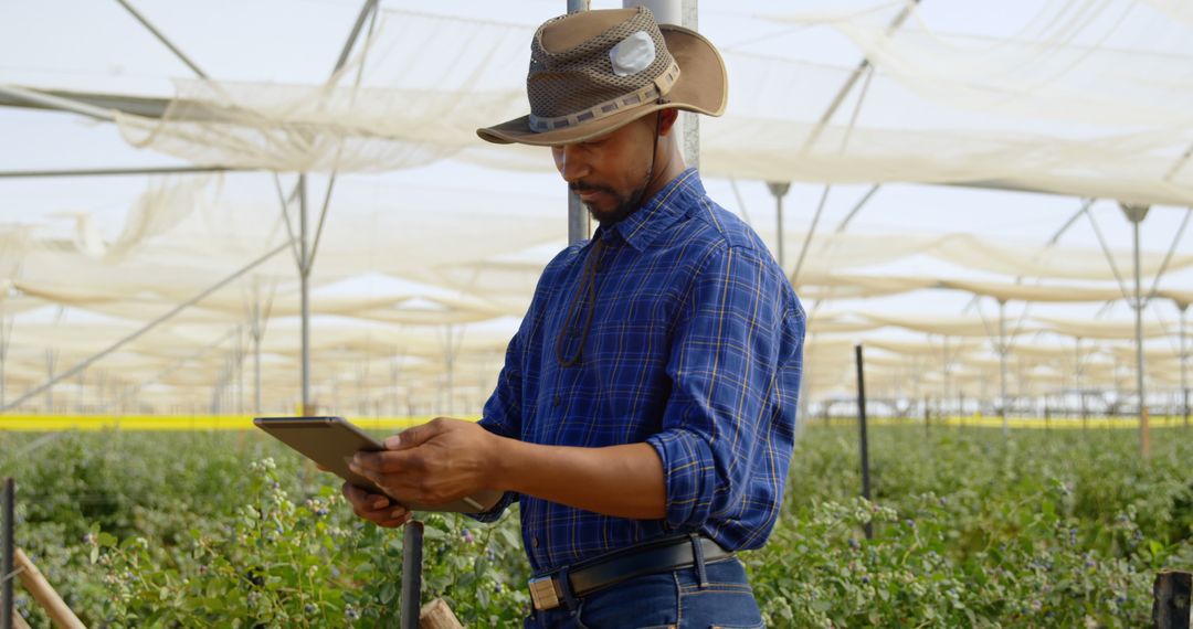 A tech-savvy farmer uses a tablet to manage crops in a greenhouse. - Free Images, Stock Photos and Pictures on Pikwizard.com
