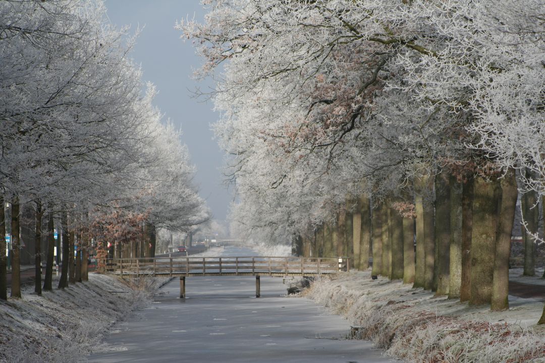 Winter Landscape with Frosty Trees and Wooden Bridge Over Frozen River - Free Images, Stock Photos and Pictures on Pikwizard.com