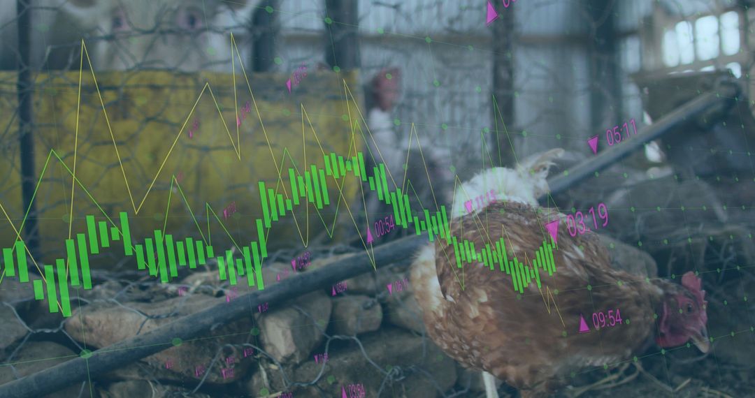 Digital Financial Overlay on Farmyard Scene with Livestock