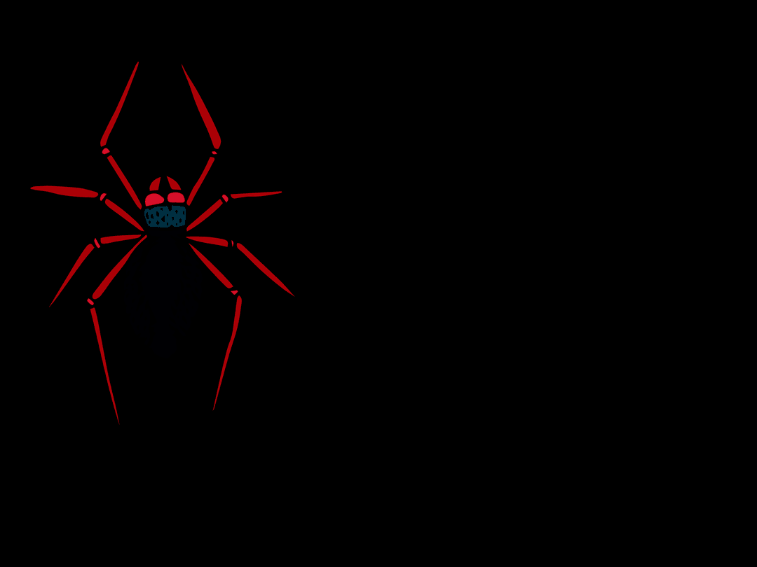 Abstract Red Transparent Spider Illustration on Black