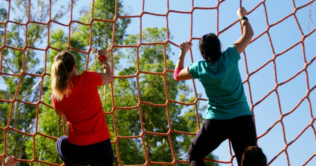 Women Climbing Rope Net in Outdoor Fitness Challenge - Free Images, Stock Photos and Pictures on Pikwizard.com