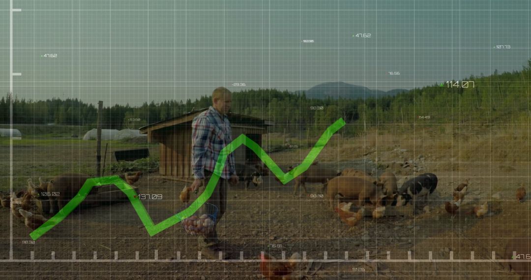 Farmer Walking Through Eco-Friendly Chicken Pen with Data Visualization Overlay