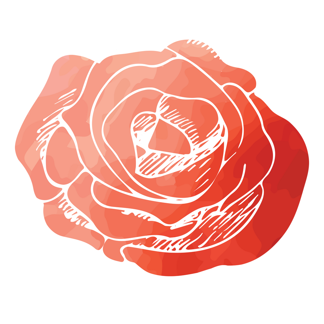 Digital Red Rose Illustration on Transparent Background - Download Free Stock Images Pikwizard.com