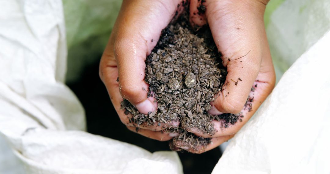 Close-up of Child's Hands Holding Rich Soil for Gardening - Free Images, Stock Photos and Pictures on Pikwizard.com