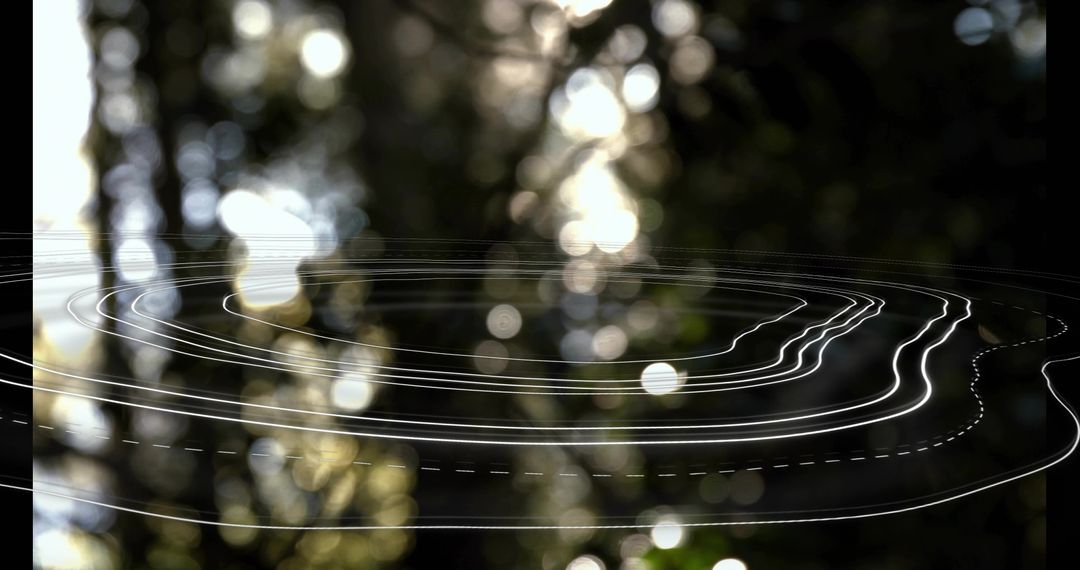 Floating Contour Lines Layering Blurred Forest Bokeh for Digital Data Visualization
