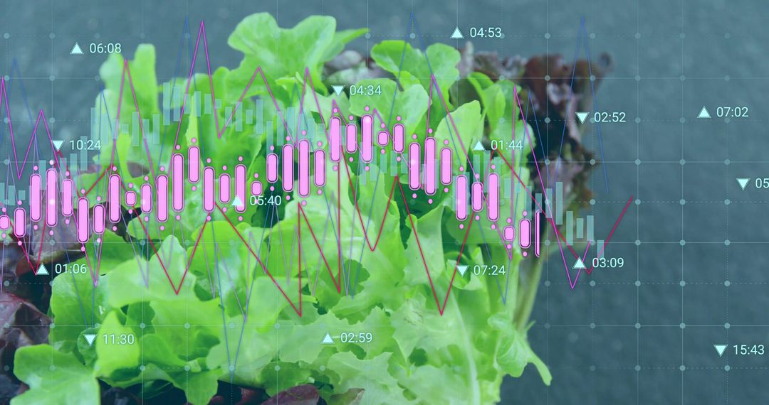 Lettuce and Financial Analytics Overlaid with Digital Graphs