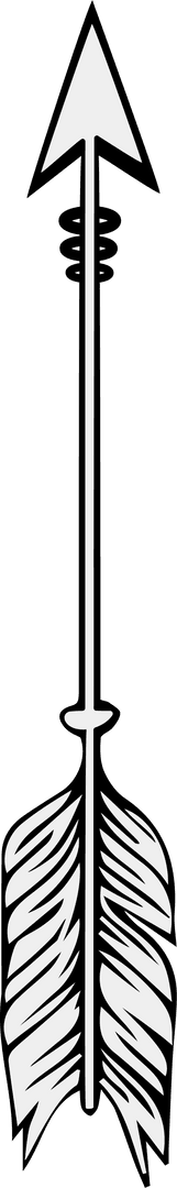 vector arrow with feather on transparent canvas for minimalist design - Download Free Stock Images Pikwizard.com