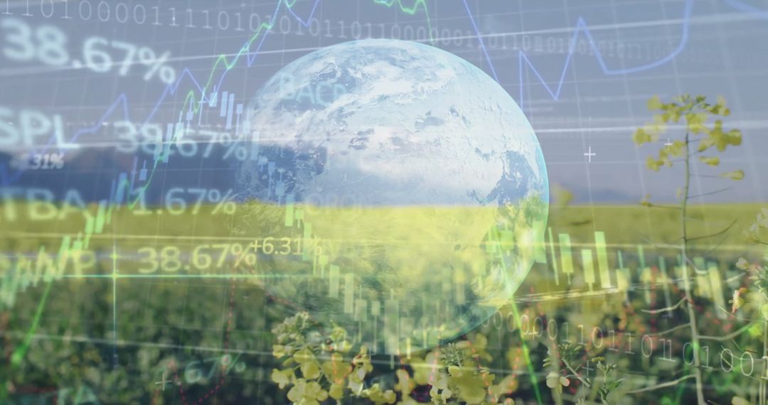 Global Business Network Over Agricultural Field with Globe Hologram