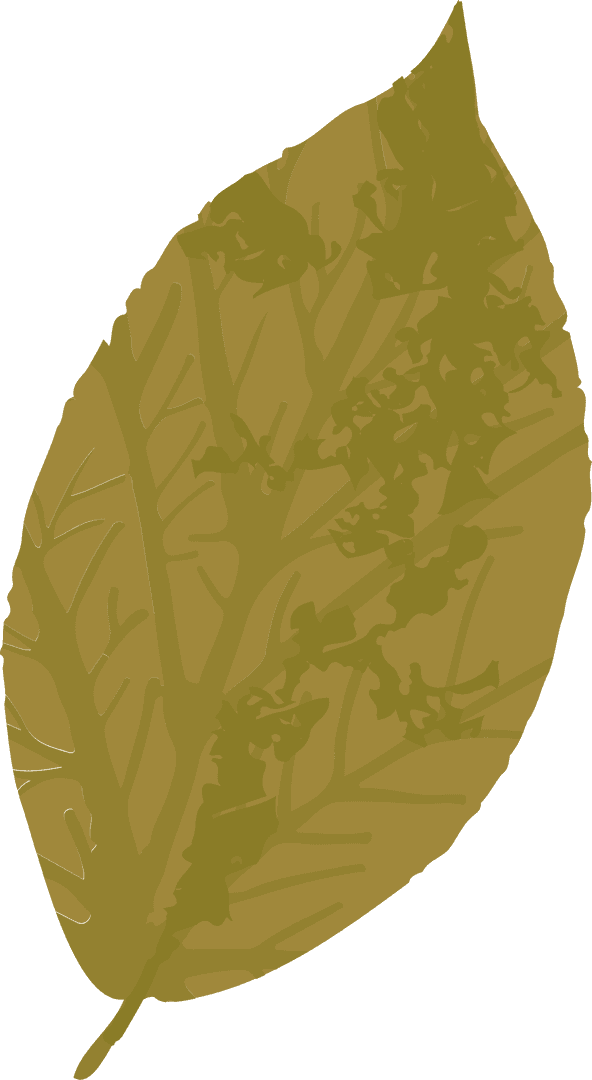 Golden Leaf Illustration with Transparent Background