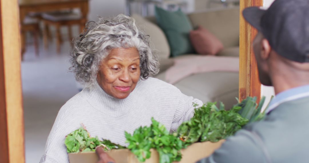 Elderly Woman Receiving Fresh Groceries from Delivery Person at Home - Free Images, Stock Photos and Pictures on Pikwizard.com