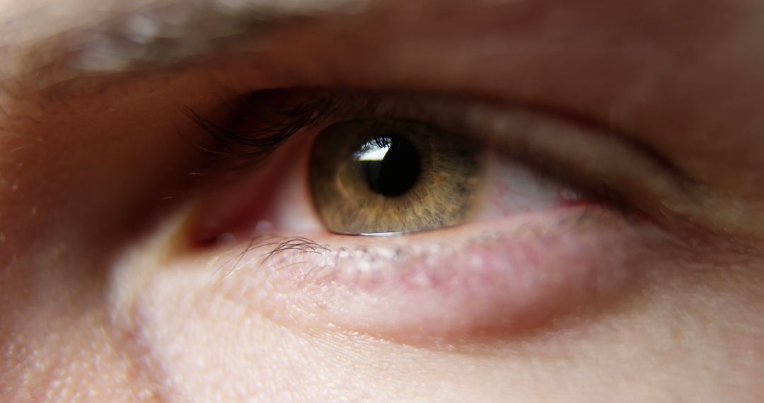 Close-up of Human Eye with Brown Iris - Free Images, Stock Photos and Pictures on Pikwizard.com