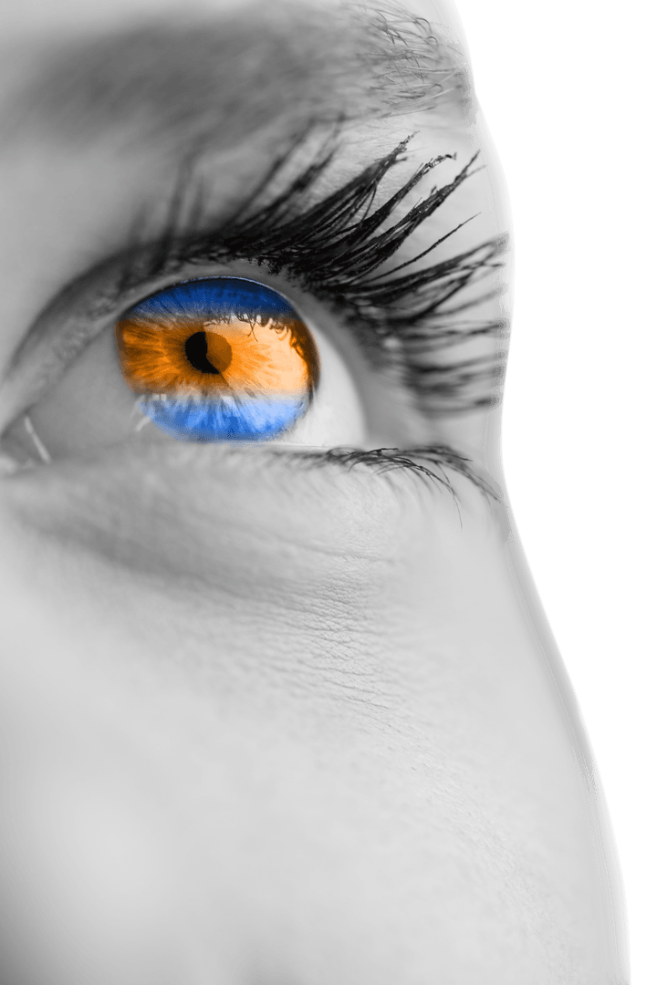 Close-Up of Colorful Eye on Transparent Background