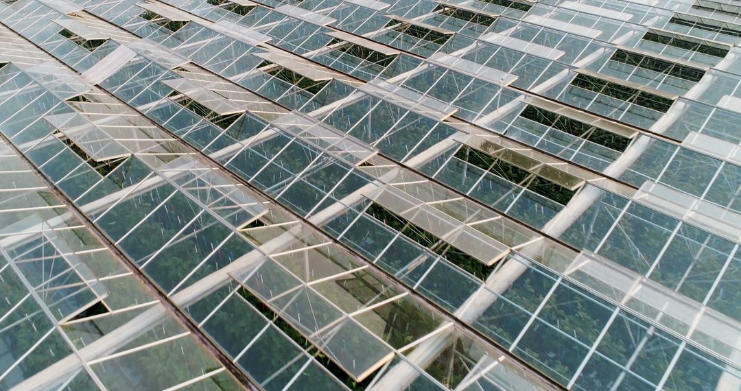 Aerial View of Modern Greenhouse with Large Glass Panels - Free Images, Stock Photos and Pictures on Pikwizard.com