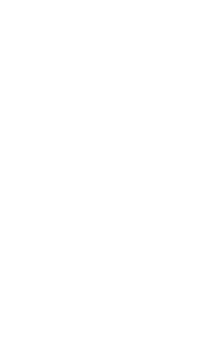 Celebrating Woman Silhouette on Transparent Background - Download Free Stock Images Pikwizard.com