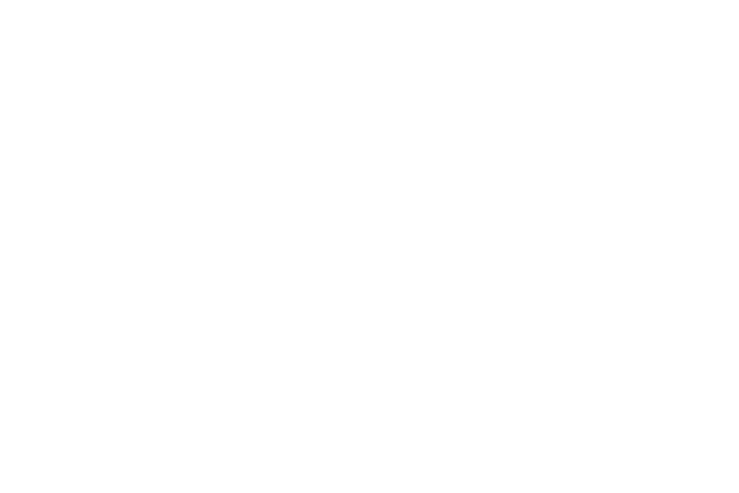 Transparent Silhouette of Woman Performing High Kick