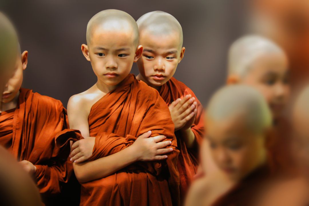 Young Buddhist Monks in Orange Robes Standing - Free Images, Stock Photos and Pictures on Pikwizard.com