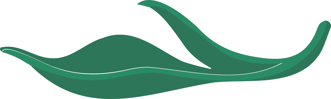 Fluid Green Leaf Illustrations Flowing on Transparent Background