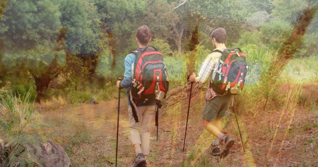 Couple Hiking in Forest With Environmental Overlay