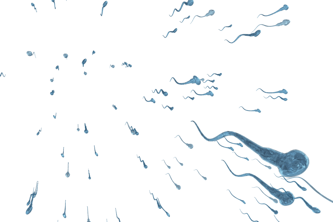 Transparent Fluid Sperm Movement Pattern; Flowing Dynamics - Download Free Stock Images Pikwizard.com