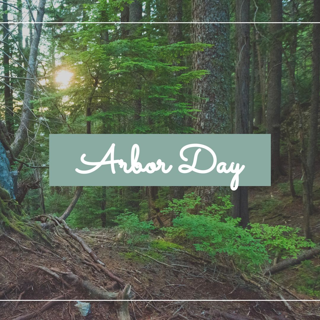 Arbor Day Celebration in Lush Forest