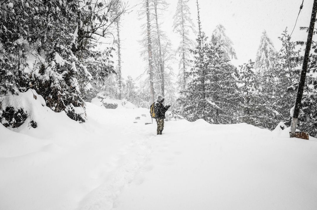 Man Standing in Snowy Forest during Heavy Blizzard - Free Images, Stock Photos and Pictures on Pikwizard.com