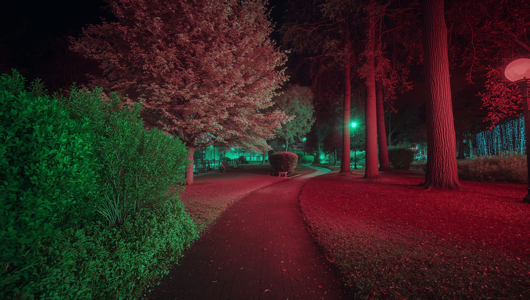 Enchanting Park Pathway Lit by Red and Green Lights at Night
