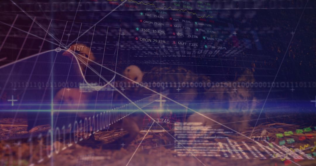 Digital Data Interface with Hens in Farm Setting Background