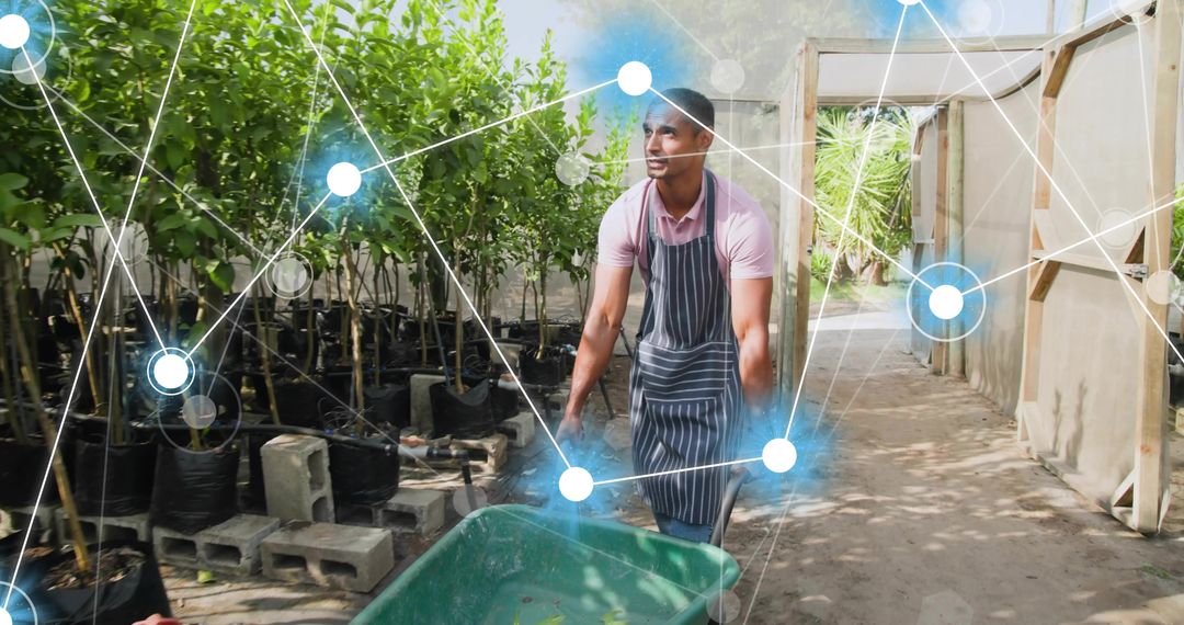 Gardener Moving Wheelbarrow in Eco-Friendly Nursery Pathway