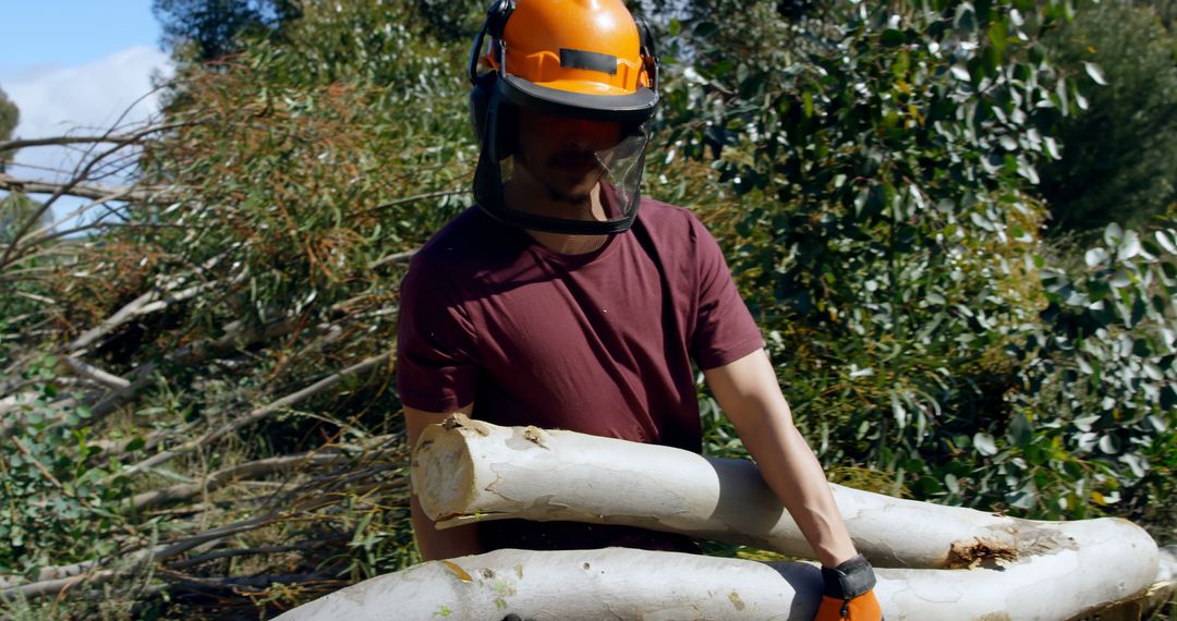 Lumberjack Carrying Tree Logs in Forest with Safety Gear - Free Images, Stock Photos and Pictures on Pikwizard.com