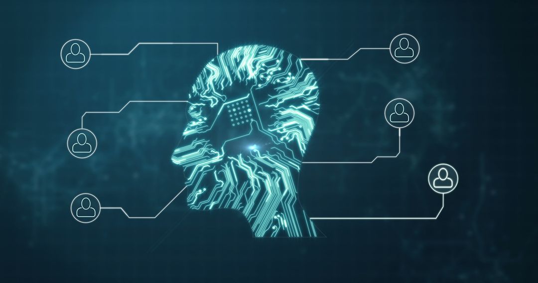 Digital Head Circuit and Network Connections