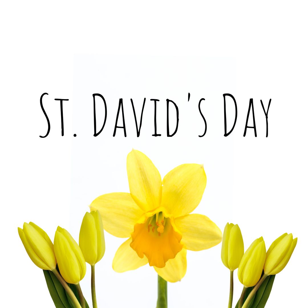 St. David's Day Daffodils Celebrating Welsh Culture