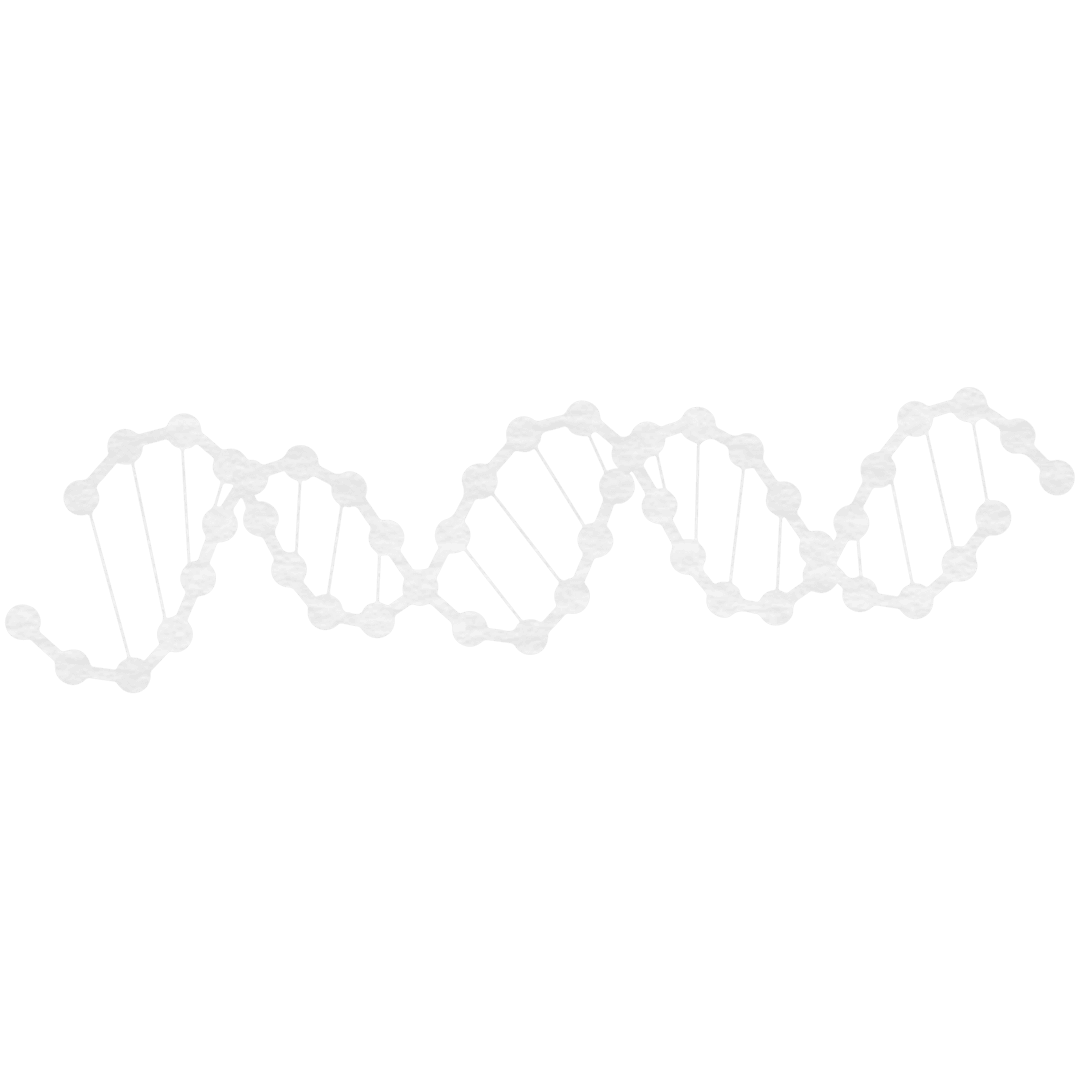 Transparent White DNA Strand Illustration for Science Concepts