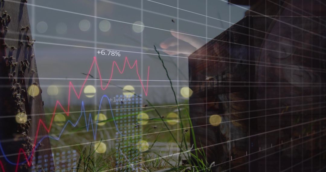 Beehive and Line Graphs in Rural Landscape Showing Honey Production