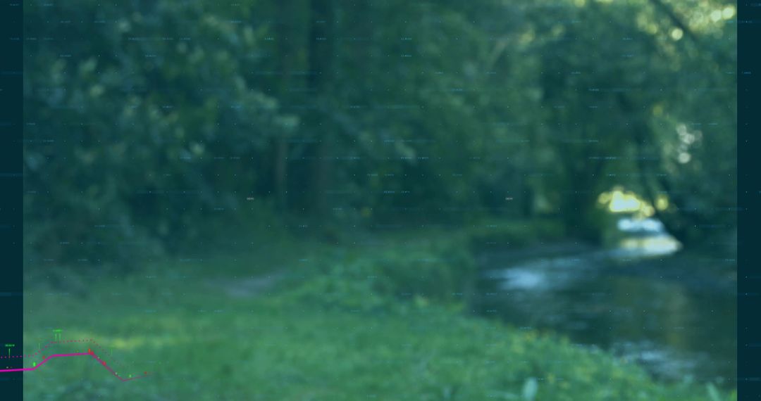 Nature Serenity Shallow Stream in sun-dappled Woodland Clearing