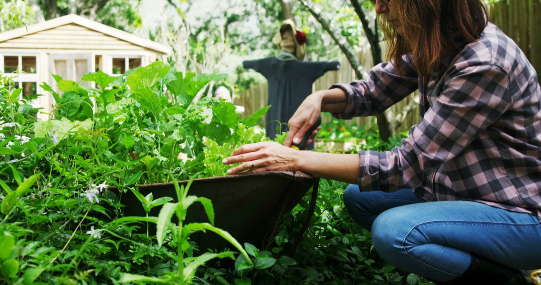 Woman Gardening in Lush Backyard with Scarecrow - Free Images, Stock Photos and Pictures on Pikwizard.com