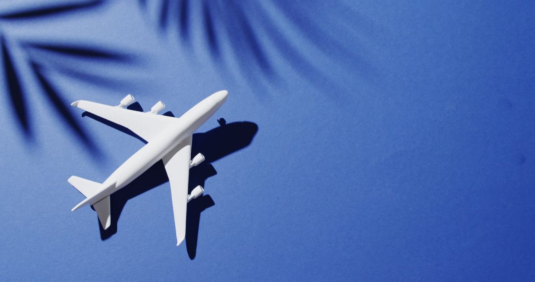 Airplane Model with Leaf Shadows on Blue Background