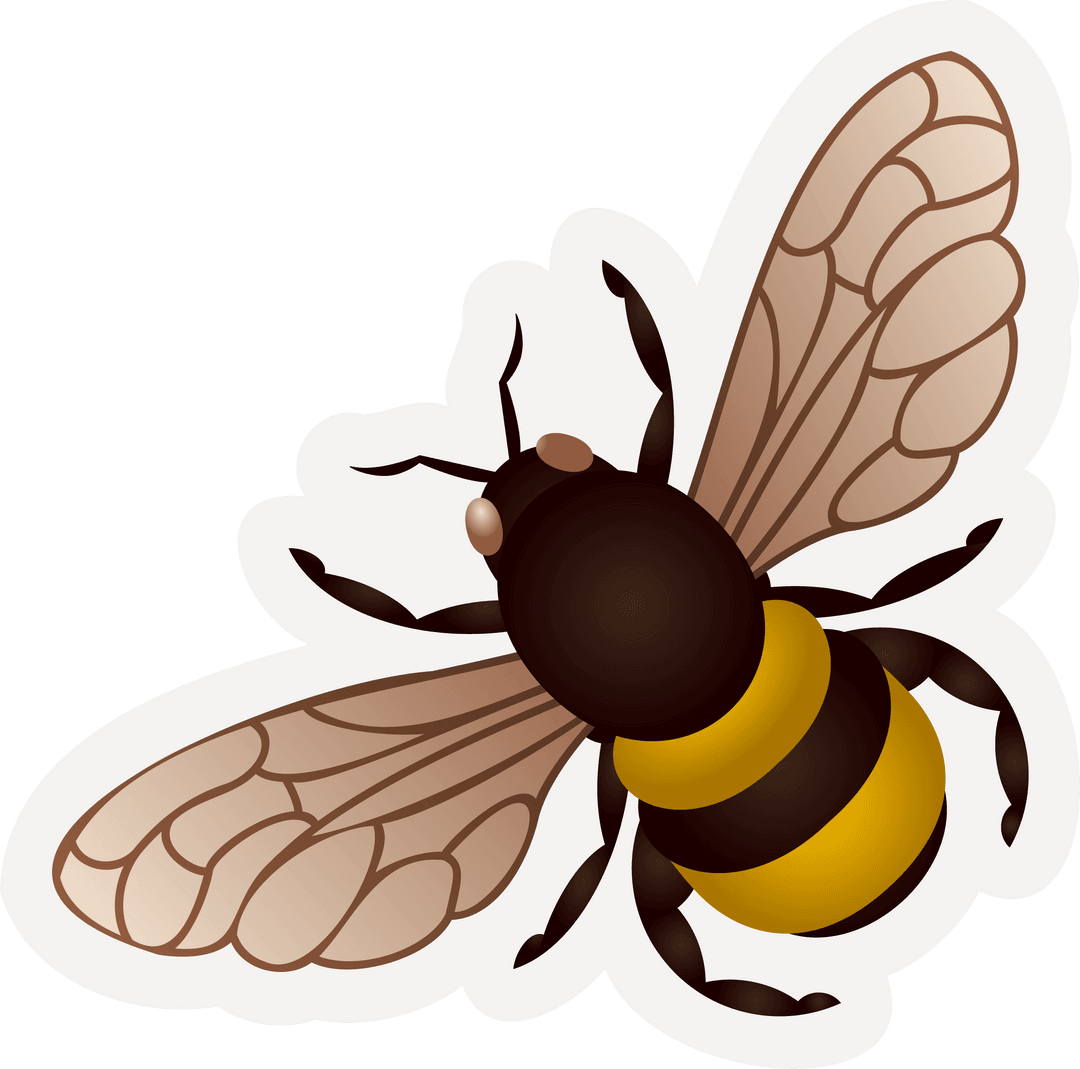Realistic Transparent Bee Illustration with Veined Wings