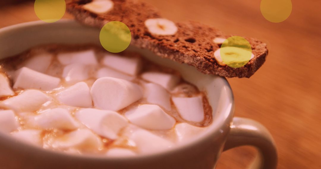 Cozy Hot Cocoa With Marshmallows and Biscotti
