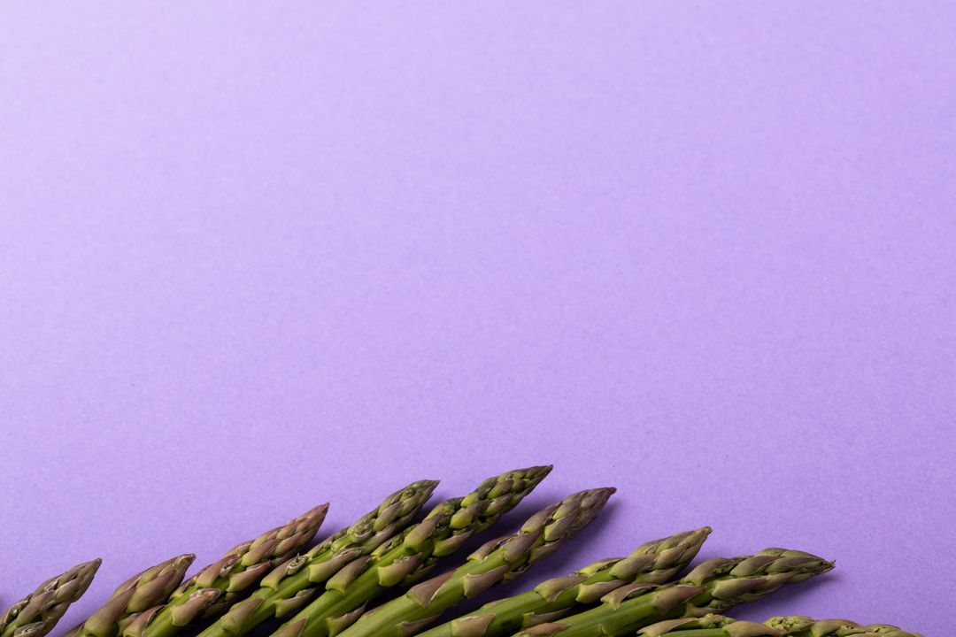 Overhead view of asparagus on purple background with copy space - Free Images, Stock Photos and Pictures on Pikwizard.com