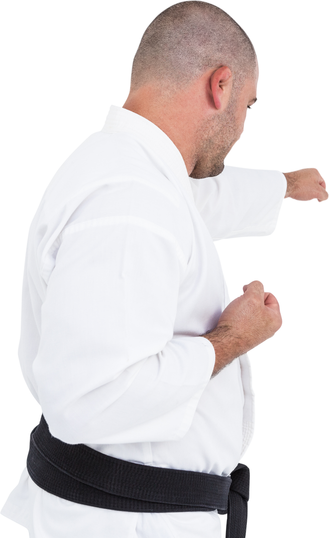 Karate Expert Performing Martial Arts in Transparent Stance - Download Free Stock Images Pikwizard.com